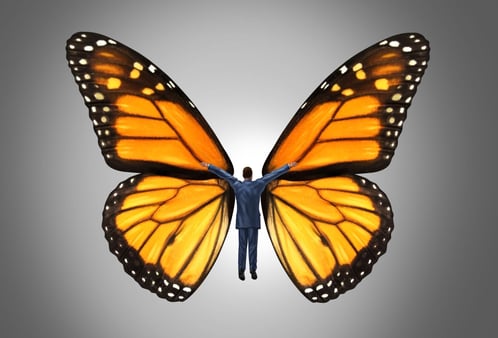 How to Deal with Organizational Change