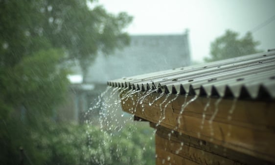 Trickle Down Leadership: You Get What You Give