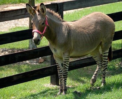 Keys to Effective Onboarding: Tips for Transition