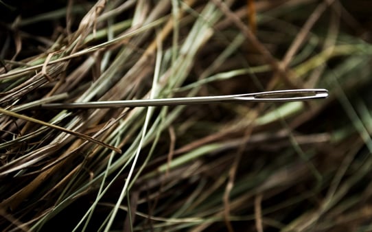 Want More Effective Recruitment? Use The Staff You Already Have