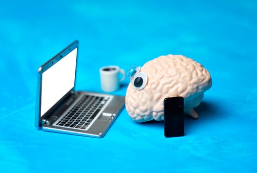 Toy brain with googly eyes working on a laptop 