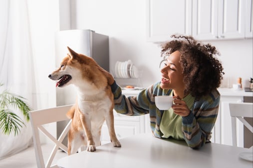 Woman sitting and drinking coffee while petting her dog 
