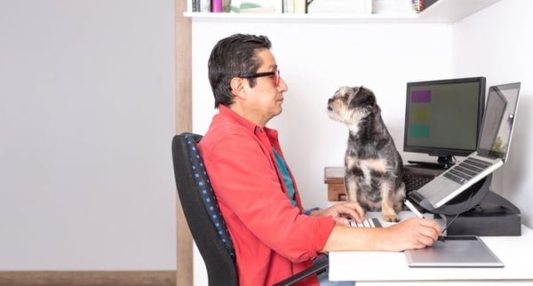 Along with pet insurance, a pet-friendly workplace is an attractive option to both current and potential employees. But what is a pet-friendly workplace? 