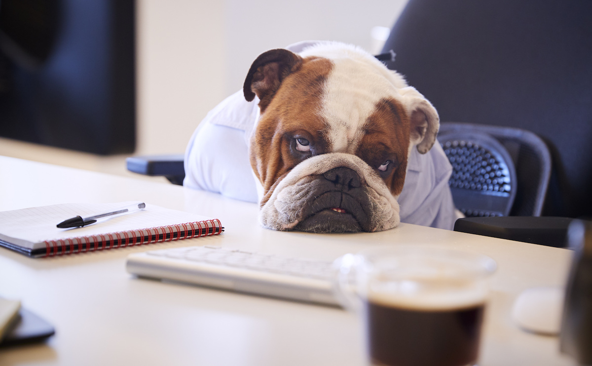 The Impact of Change Fatigue on Your Sales Efforts