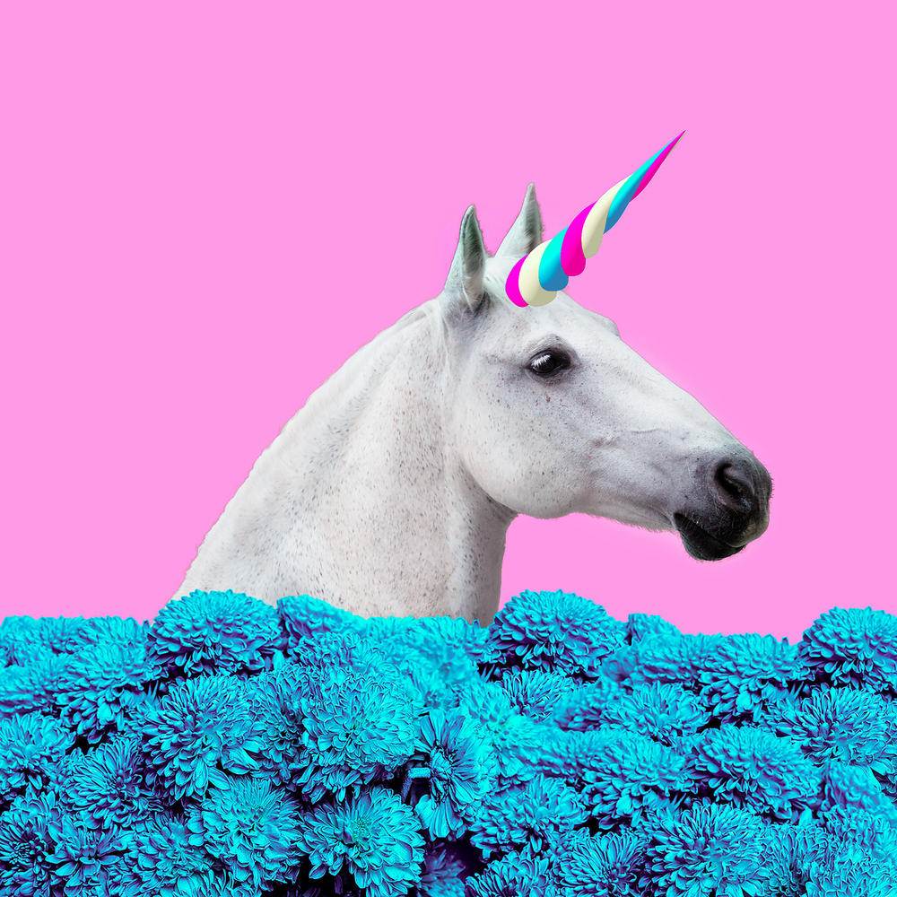 Theory vs. Reality – Don’t Let the Promise of a Unicorn Run Your Business